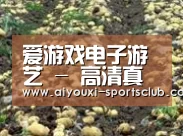 种植基地八(图1)