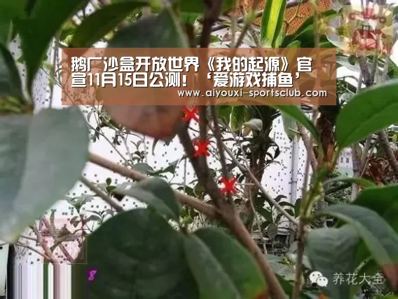 爱游戏棋牌游戏