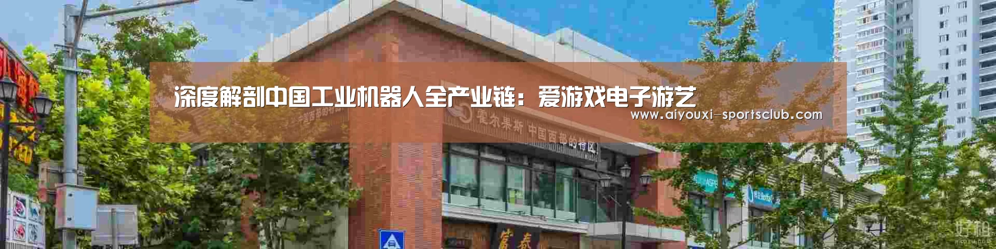 爱游戏电子