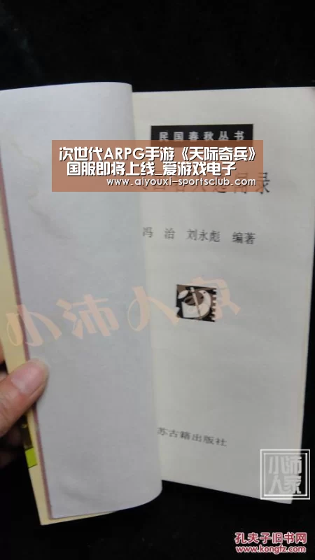 爱游戏电子游艺